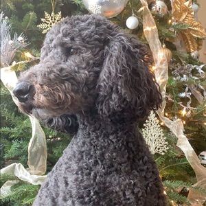 Meet your Posher, Lori